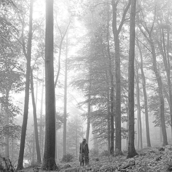 Meet your Posher, Taylor - Picture 1 of 1